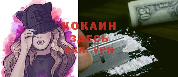 PSILOCYBIN Беломорск