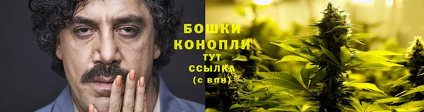PSILOCYBIN Беломорск