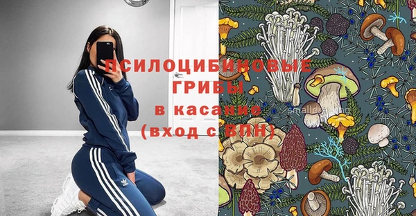PSILOCYBIN Беломорск