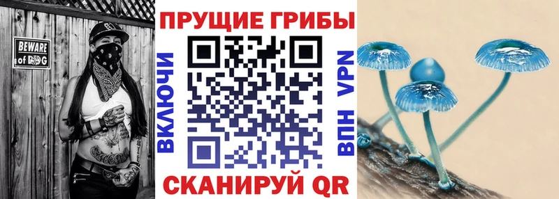 Псилоцибиновые грибы мухоморы  Бородино 